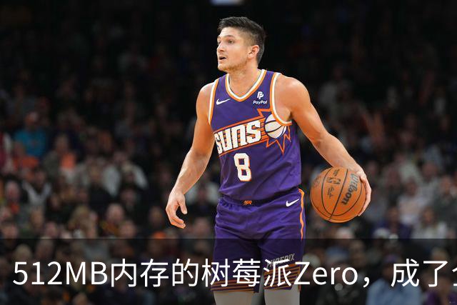 512MB内存的树莓派Zero，成了全家网络的DNS中枢